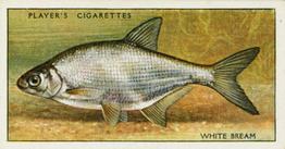 1933 Player's Fresh-Water Fishes #6 White Bream Front