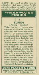 1933 Player's Fresh-Water Fishes #8 Burbot Back