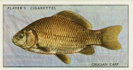 1933 Player's Fresh-Water Fishes #10 Crucian Carp Front