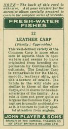 1933 Player's Fresh-Water Fishes #12 Leather Carp Back