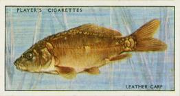 1933 Player's Fresh-Water Fishes #12 Leather Carp Front