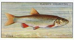 1933 Player's Fresh-Water Fishes #15 Chub Front