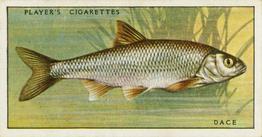 1933 Player's Fresh-Water Fishes #16 Dace Front