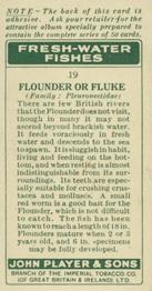 1933 Player's Fresh-Water Fishes #19 Flounder Back