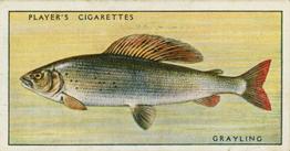 1933 Player's Fresh-Water Fishes #20 Grayling Front