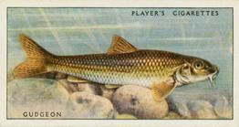 1933 Player's Fresh-Water Fishes #22 Gudgeon Front