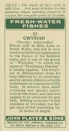 1933 Player's Fresh-Water Fishes #23 Gwyniad Back