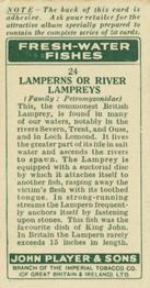 1933 Player's Fresh-Water Fishes #24 Lamperns Back