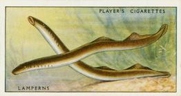 1933 Player's Fresh-Water Fishes #24 Lamperns Front