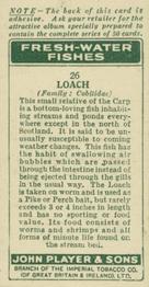1933 Player's Fresh-Water Fishes #26 Loach Back