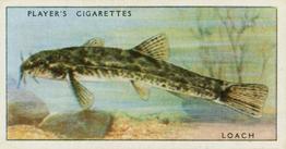 1933 Player's Fresh-Water Fishes #26 Loach Front