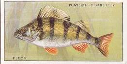 1933 Player's Fresh-Water Fishes #29 Perch Front