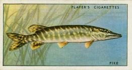 1933 Player's Fresh-Water Fishes #30 Pike Front