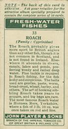 1933 Player's Fresh-Water Fishes #33 Roach Back