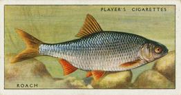 1933 Player's Fresh-Water Fishes #33 Roach Front