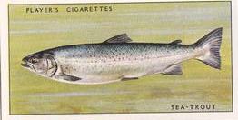 1933 Player's Fresh-Water Fishes #38 Sea-Trout Front