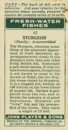 1933 Player's Fresh-Water Fishes #42 Sturgeon Back