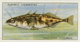 1933 Player's Fresh-Water Fishes #43 Three-spined Stickleback Front
