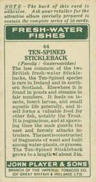1933 Player's Fresh-Water Fishes #44 Ten-Spined Stickleback Back
