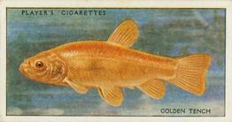 1933 Player's Fresh-Water Fishes #46 Golden Tench Front