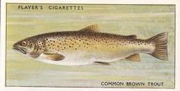 1933 Player's Fresh-Water Fishes #47 Common Brown Trout Front