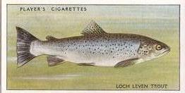 1933 Player's Fresh-Water Fishes #48 Loch Leven Trout Front
