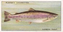 1933 Player's Fresh-Water Fishes #49 Rainbow Trout Front