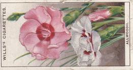 1933 Wills's Garden Flowers #1 Allwoodii Front