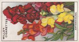1933 Wills's Garden Flowers #3 Antirrhinums - Snapdragons Front