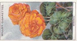 1933 Wills's Garden Flowers #7 Begonia Front