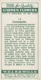 1933 Wills's Garden Flowers #14 Coreopsis Back