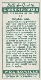 1933 Wills's Garden Flowers #17 Delphiniums Back