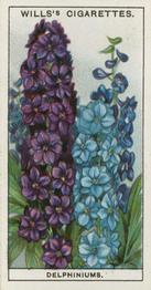 1933 Wills's Garden Flowers #17 Delphiniums Front