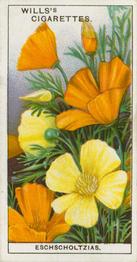 1933 Wills's Garden Flowers #18 Eschscholtzias Front