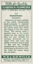 1933 Wills's Garden Flowers #23 Heleniums - Sneezewort Back