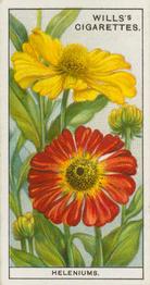 1933 Wills's Garden Flowers #23 Heleniums - Sneezewort Front