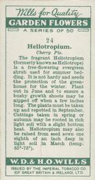 1933 Wills's Garden Flowers #24 Heliotropium - Cherry Pie Back