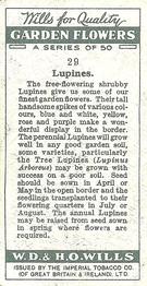 1933 Wills's Garden Flowers #29 Lupines Back