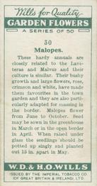 1933 Wills's Garden Flowers #30 Malopes Back