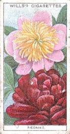 1933 Wills's Garden Flowers #33 Pæonies Front