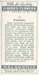 1933 Wills's Garden Flowers #35 Petunias Back