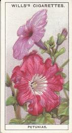 1933 Wills's Garden Flowers #35 Petunias Front