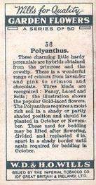 1933 Wills's Garden Flowers #36 Polyanthus Back