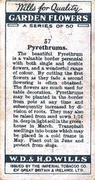 1933 Wills's Garden Flowers #37 Pyrethrums Back