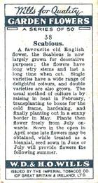 1933 Wills's Garden Flowers #38 Scabious Back
