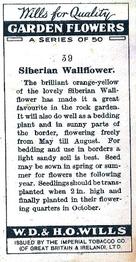1933 Wills's Garden Flowers #39 Siberian Wallflower Back