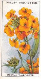1933 Wills's Garden Flowers #39 Siberian Wallflower Front