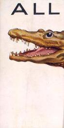 1934 Wills's Animalloys #1 Alligator Front