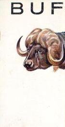 1934 Wills's Animalloys #10 Buffalo Front