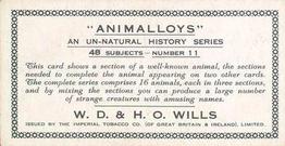 1934 Wills's Animalloys #11 Buffalo Back